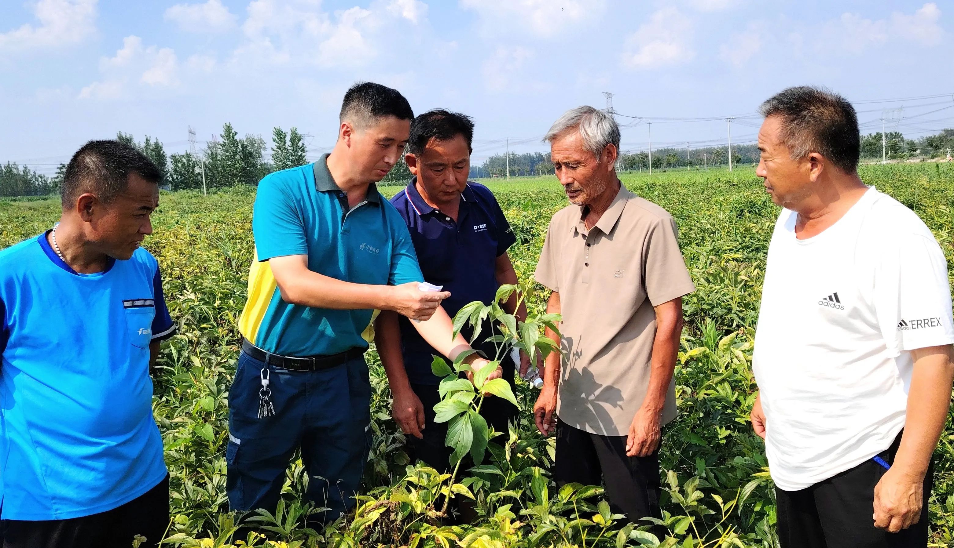 冒高温 进乡村 送技术 --丰县总工会“劳模工匠助企行”活动持续走向深入